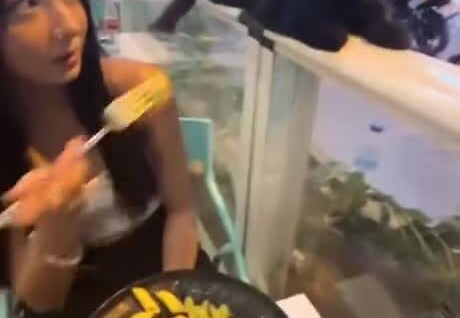 
        Кошка проучила девушку, дразнившую её макаронами в ресторане    
