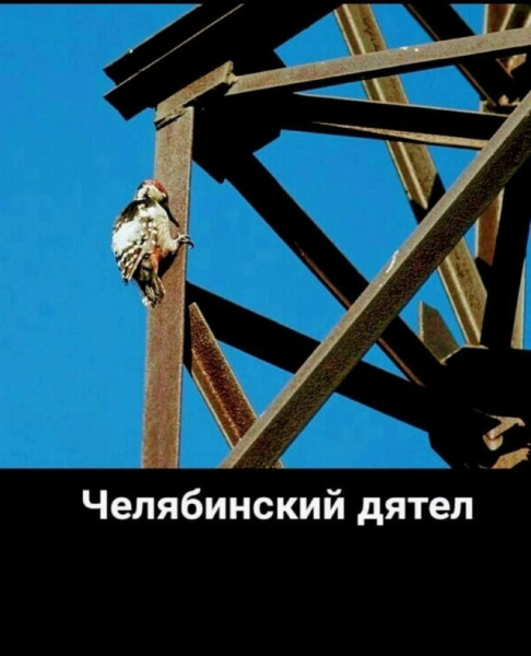 Мем №1540081
