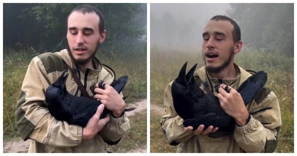 
        Хозяин необычной вороны показал, как его птица умеет зевать    