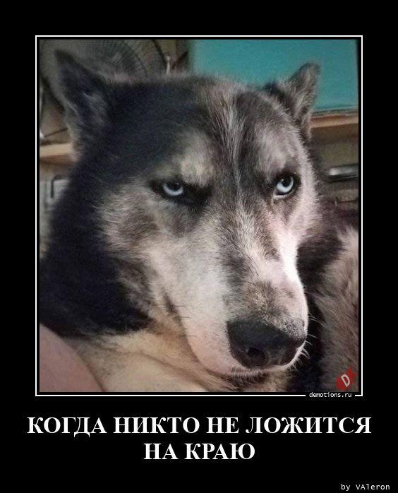 
			Демотиваторы №3700 (20 фото)