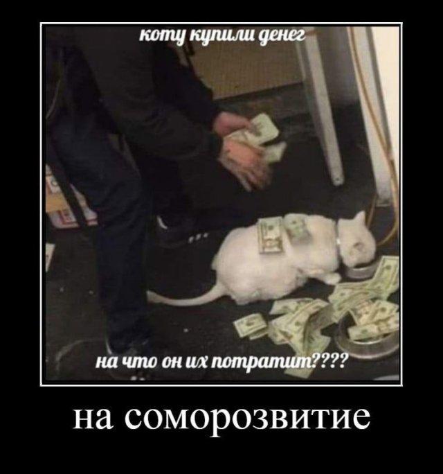 
			Демотиваторы №3715 (20 фото)