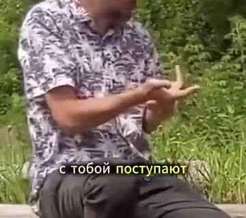 
        Мнение о воспитании: почему дети должны знать границы дозволенного    