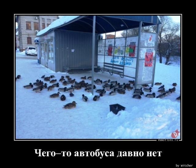 
			Демотиваторы №3717 (15 фото)