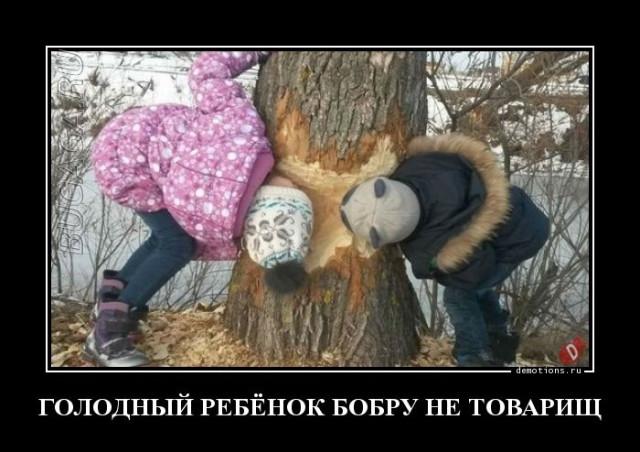 
			Демотиваторы №3697 (15 фото)