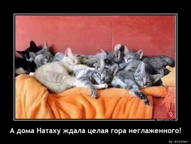 
			Демотиваторы №3704 (15 фото)