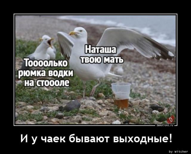 
			Демотиваторы №3717 (15 фото)
