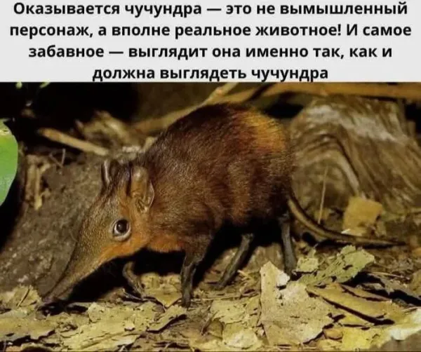 Мем №1539715