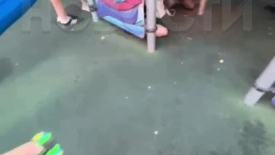 
        В Подмосковье женщина угрожала убить девочку на детской площадке за то, что та обидела её дочь    