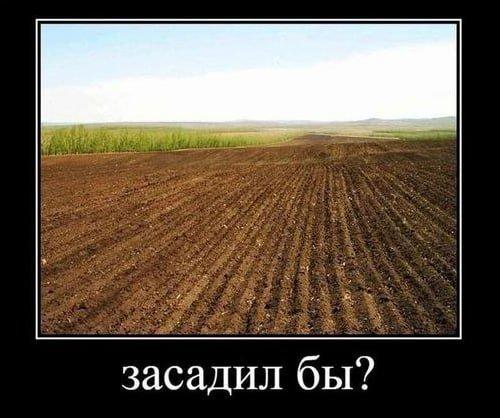 
			Демотиваторы №3714 (20 фото)