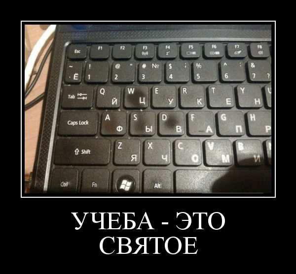 
			Демотиваторы №3710 (15 фото)