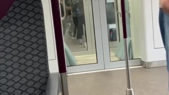 
        Житель Подмосковья стал свидетелем "культурного шоу" в электричке: лезгинка и беспомощная охрана    