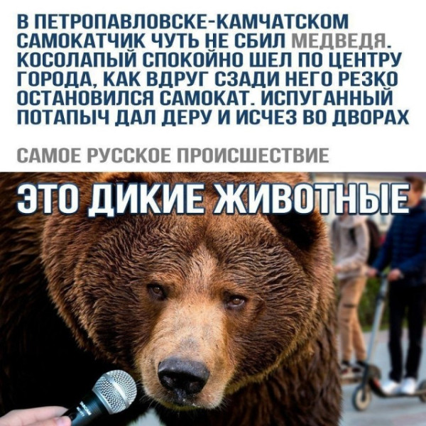Мем №1539714