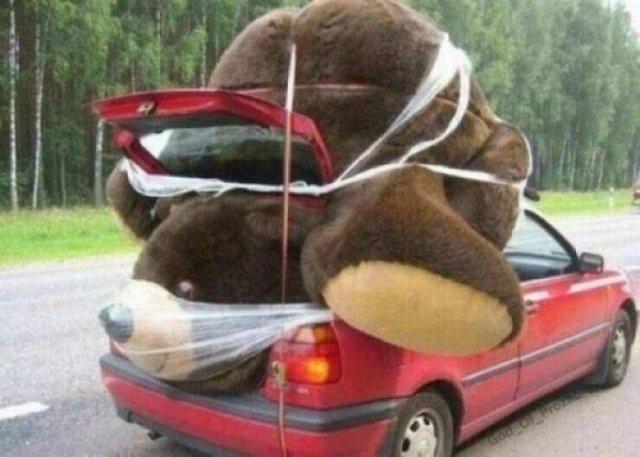 Подборка прикольных фото №3754