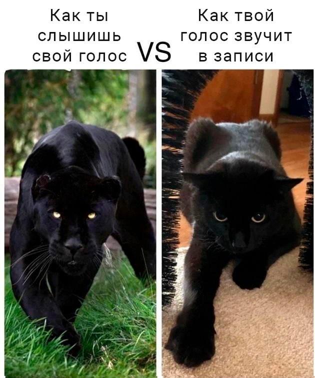 Подборка прикольных фото №3757