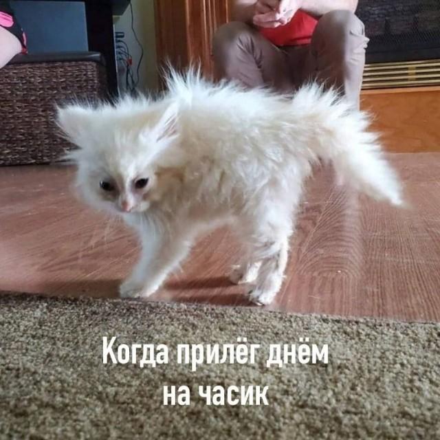 Подборка прикольных фото №3753