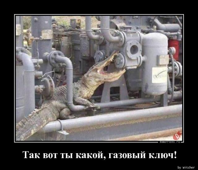 
			Демотиваторы №3702 (15 фото)