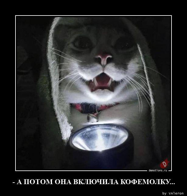 
			Демотиваторы №3702 (15 фото)
