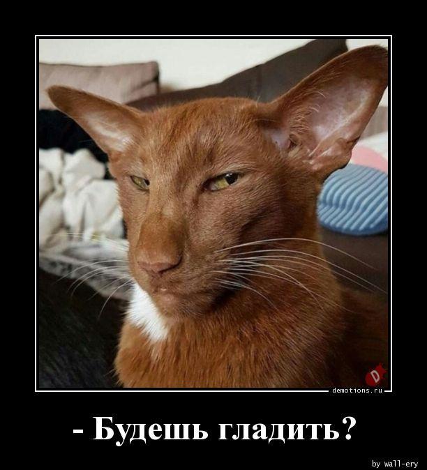 
			Демотиваторы №3703 (15 фото)