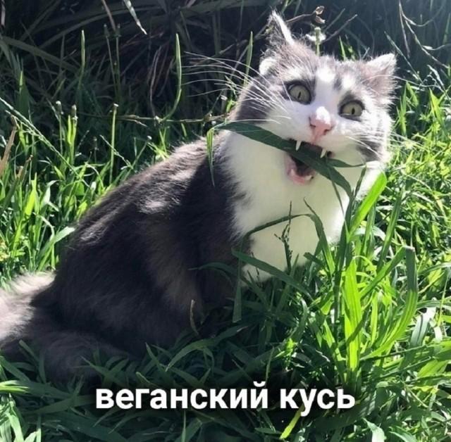 Подборка прикольных фото №3753