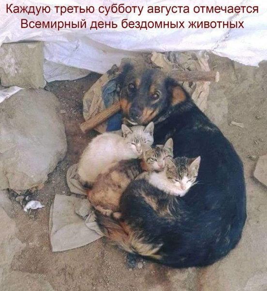 Мем №1540506