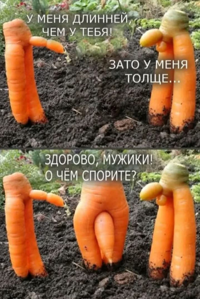 Мем №1538044