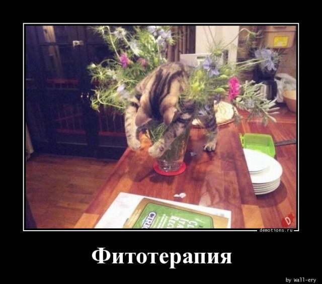 
			Демотиваторы №3712 (17 фото)
