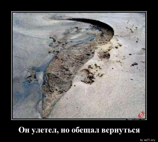 
			Демотиваторы №3699 (20 фото)