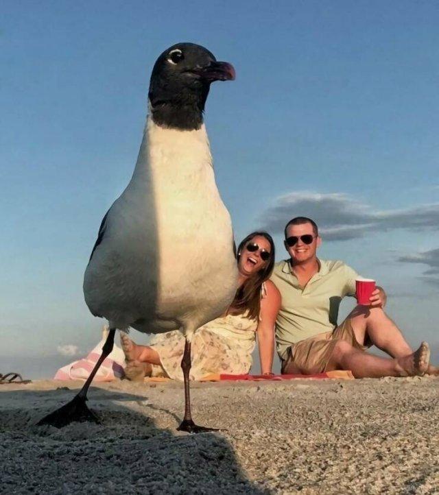 Подборка прикольных фото №3759