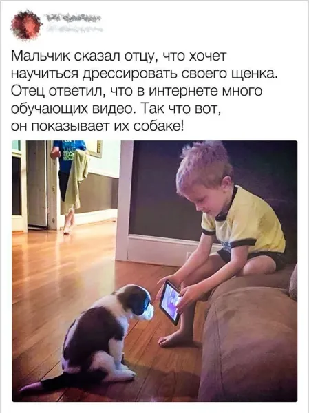 Мем №1543029