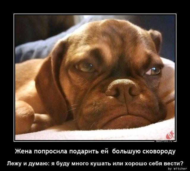 
			Демотиваторы №3717 (15 фото)