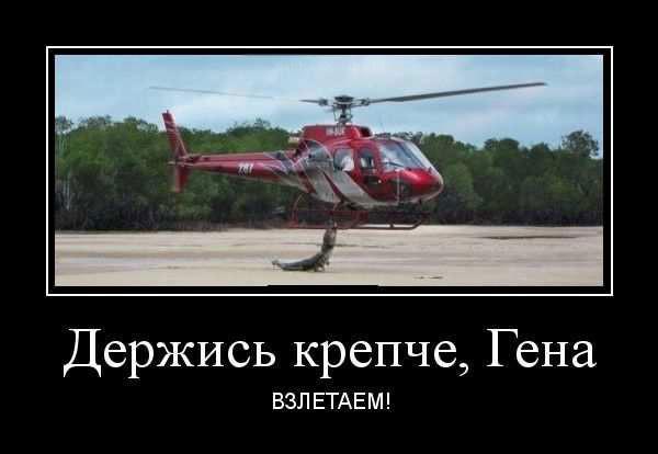 
			Демотиваторы №3701 (15 фото)