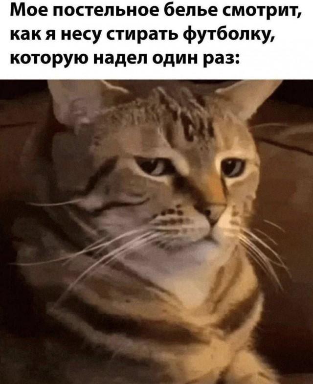 Подборка прикольных фото №3764