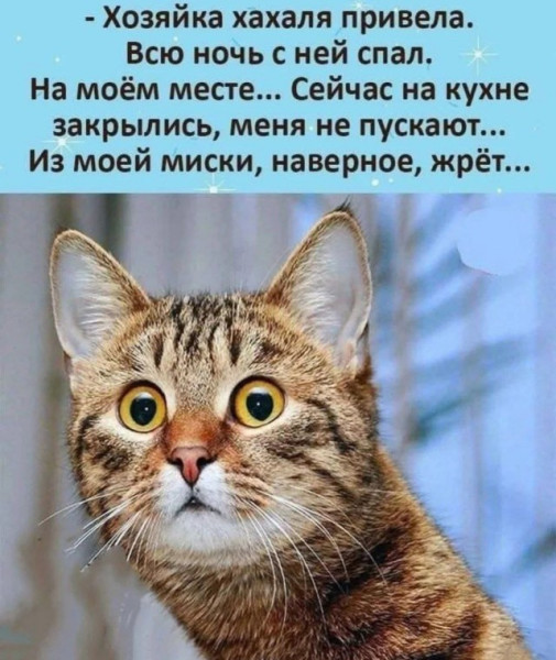 Мем №1541219