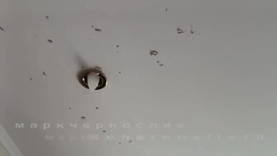 
        Колбаса взорвалась в квартире жителя Уссурийска    