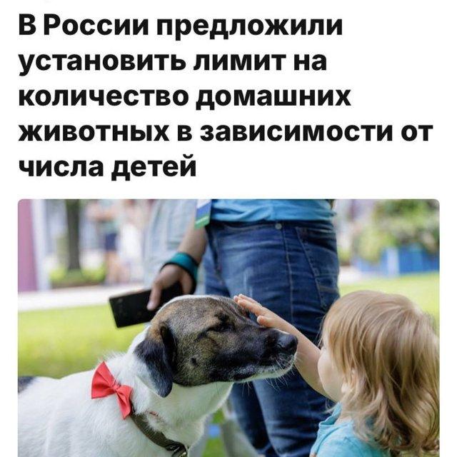 Подборка прикольных фото №3764