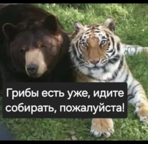 Мем №1540466