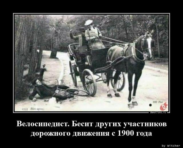 
			Демотиваторы №3703 (15 фото)