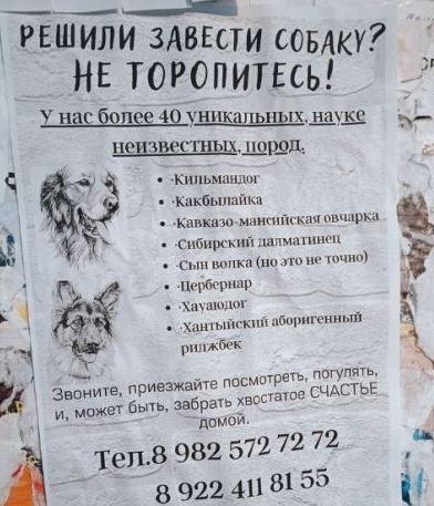 Смешные объявления, вывески и реклама: «Внимание!»