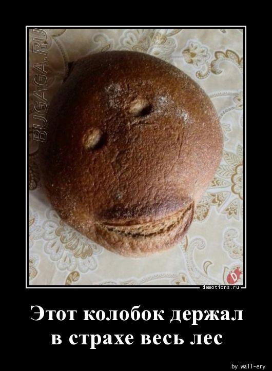 
			Демотиваторы №3697 (15 фото)
