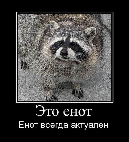 
			Демотиваторы №3705 (15 фото)