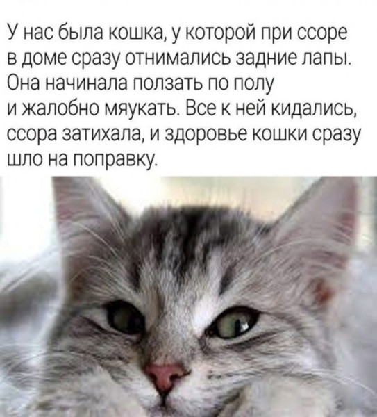 Мем №1541410