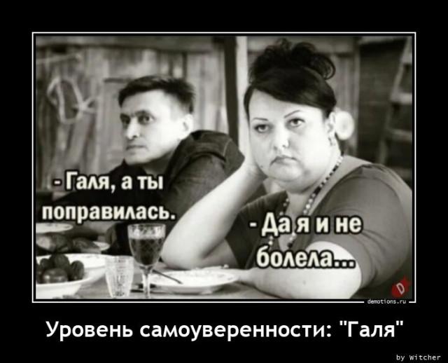 
			Демотиваторы №3716 (15 фото)