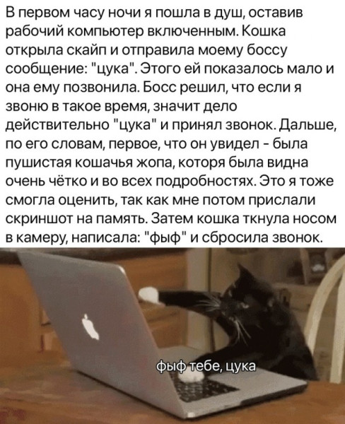 Мем №1539727