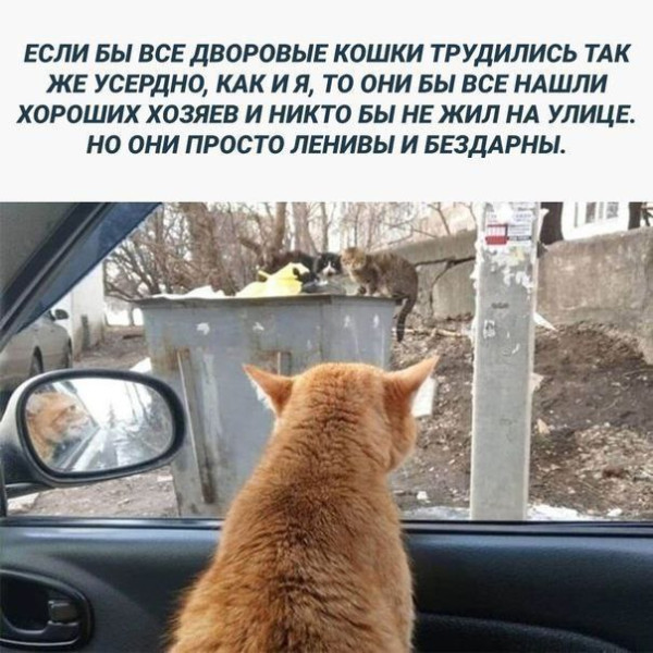 Мем №1538182