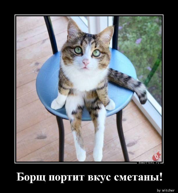 
			Демотиваторы №3716 (15 фото)