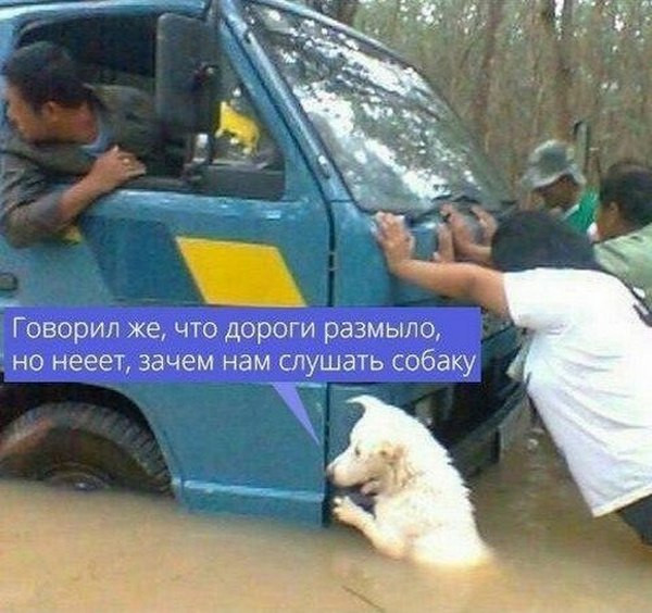 Мем №1541587