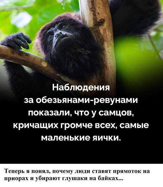 Мем №1541761