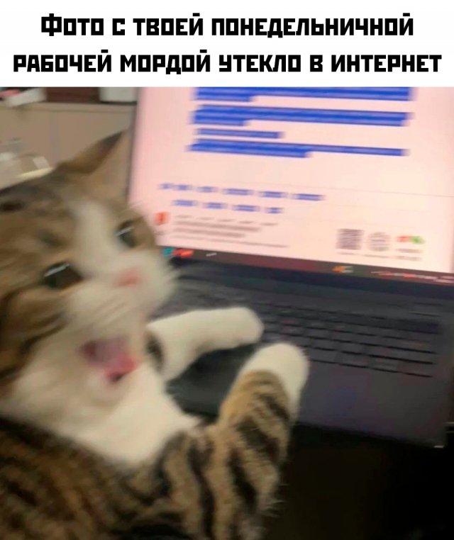 Подборка прикольных фото №3763
