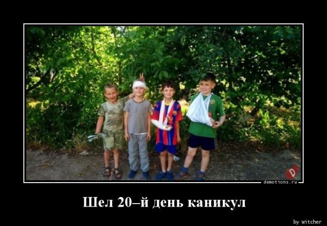 
			Демотиваторы №3699 (20 фото)