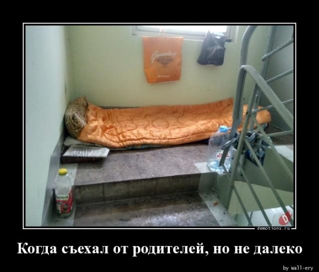 
			Демотиваторы №3706 (15 фото)